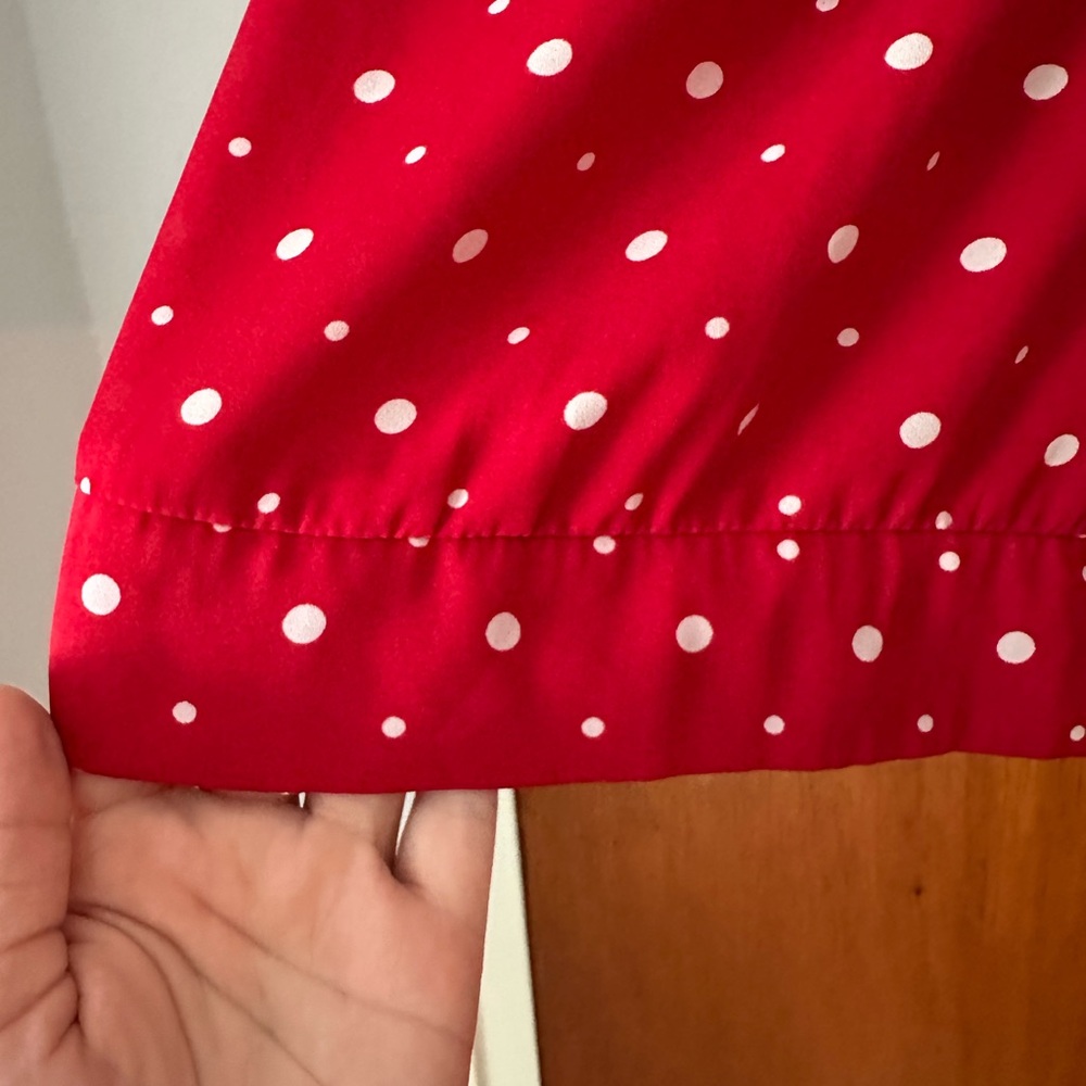 The Limited Scarlet Sheer Blouse with Ivory Polka Dots and Front Tie - Picture 3 of 8